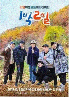 88影视网人文旅行综艺城市漫游者封面